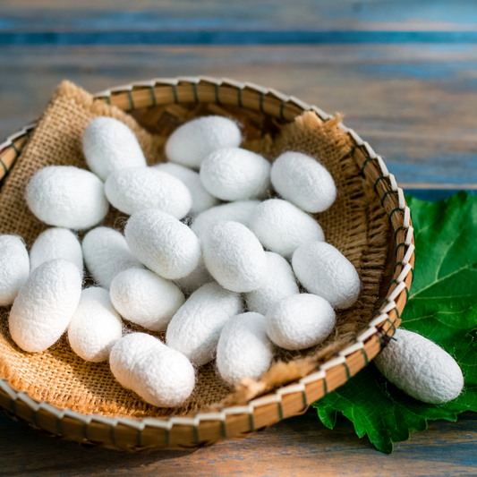 Les origines de la soie de mûrier